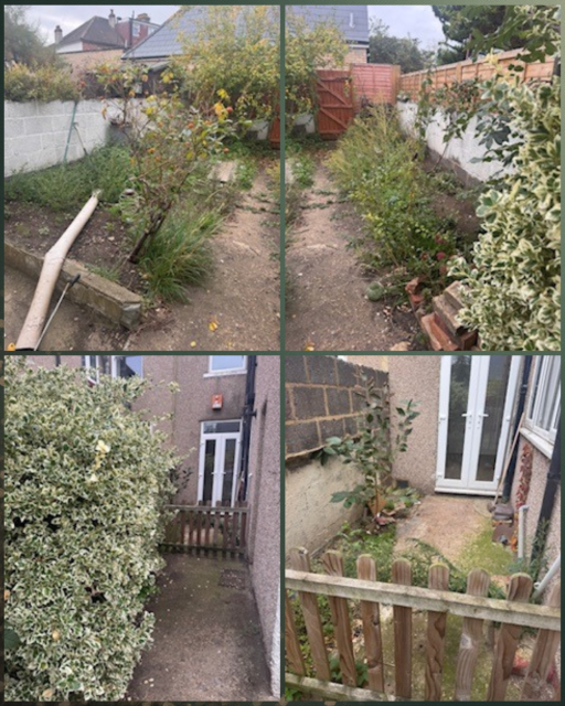 Four garden sections featuring greenery, paths, and a wooden fence.