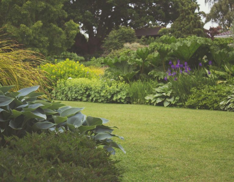 Gardening, Lawn Care, Mowing, Weeding